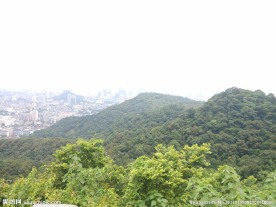 白云山 山顶 风景