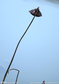 残荷
