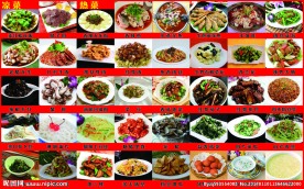 菜品 土豆丝 红烧肉