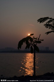 夕阳剪影