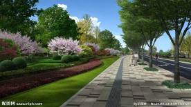 公路边美丽景观设计