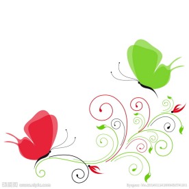 花纹蝴蝶
