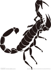蝎子