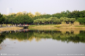 绿树碧水