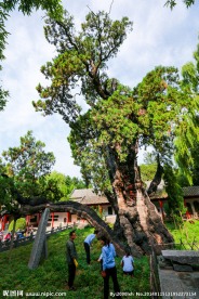 嵩阳书院