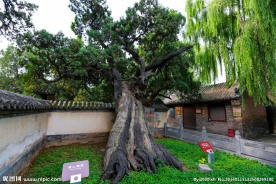 嵩阳书院