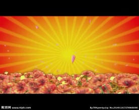 春节元素视频素材