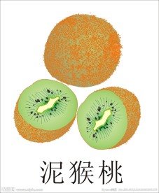 泥猴桃
