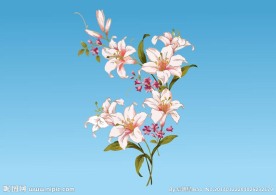 工笔画 百合 花纹