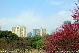 城市绿地