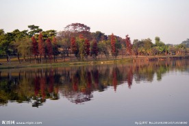 湖畔风景