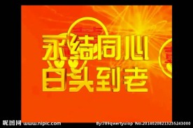 婚礼视频素材