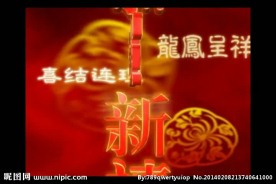 婚礼视频素材