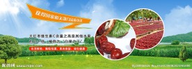 红枣网站banner
