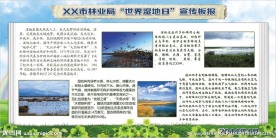 世界湿地日环保环境宣传版报