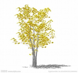 模型树