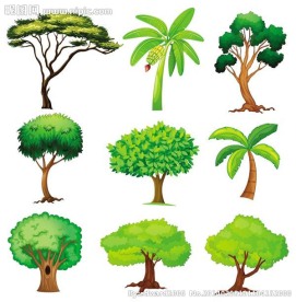 树木