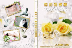 结婚婚庆光盘封面