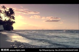 海岸海滩风景画视频