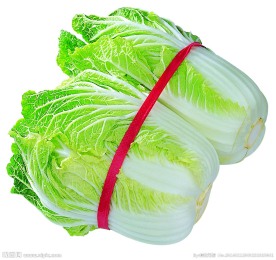 大白菜