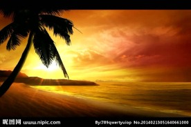 海滩夕阳背景视频素材