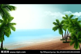 海滩风景背景视频素材