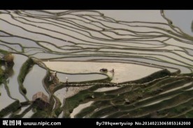 山水梯田视频素材