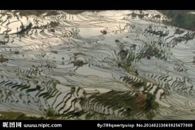 山水风景画视频素材