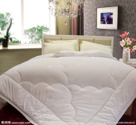 赛丝羽丝被高清图片