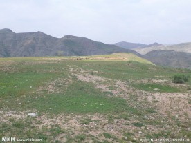 山坡