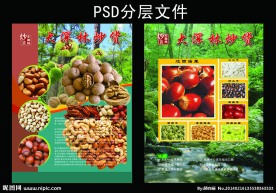 干果宣传单