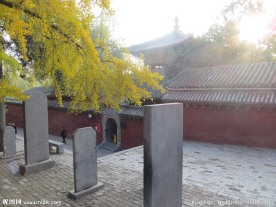 少林寺秋景