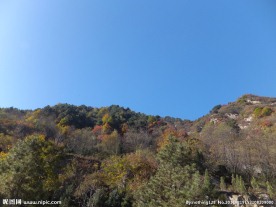 翠华山