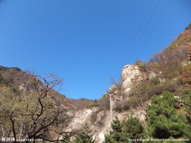 翠华山