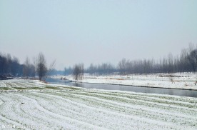 雪景
