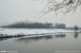 雪景