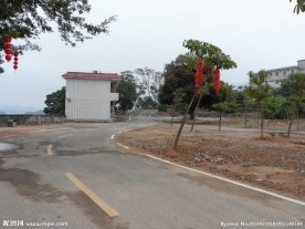 公路 马路