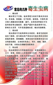常见的几种寄生虫病