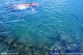 珠海风光