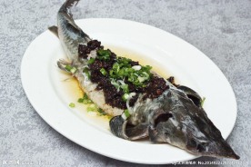 鲟鱼