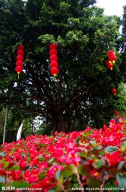风景图片