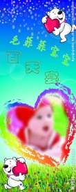宝宝易拉宝