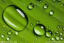 水珠
