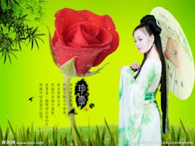 玫瑰 古装美女