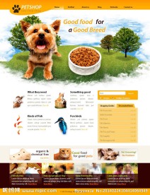 HTML5模板下载
