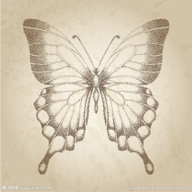 蝴蝶