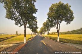 乡村公路