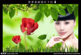 美女玫瑰花