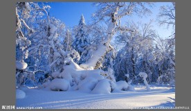 雪乡雪景