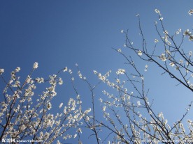 仰望天空